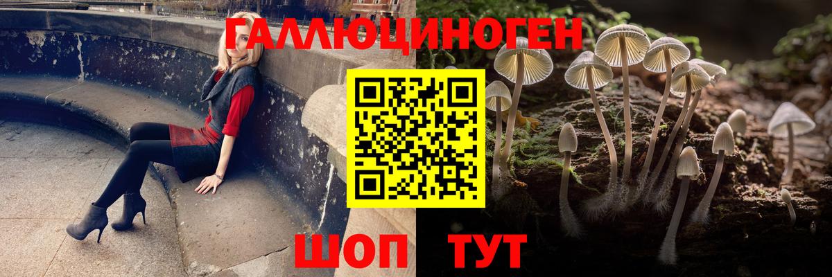 Галлюциногенные грибы Psilocybine cubensis Троицк